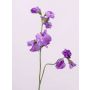 Künstlicher Lathyrus KIANO, lila, 40cm, Ø3-5cm