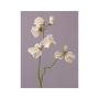 Künstlicher Lathyrus KIANO, weiß-grün, 40cm, Ø3-5cm