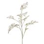 Feder-Spargel Zweig künstlich WATTENS, lila-grün, 100cm