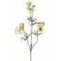 Ranunkel künstlich YARIS, creme, 65cm, Ø3-4,5cm