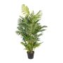Deko Palme Areca HAZMI, 170cm