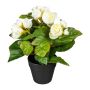 Künstliche Blume Begonie SYLINA, schwarzer Dekotopf, creme, 25cm