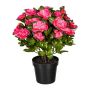 Kunstblume Azalee WHENFA im schwarzen Dekotopf, dunkelrosa, 30cm