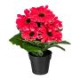 Kunstblume Gerbera KROLVEN im Dekotopf schwarz, fuchsia, 27cm