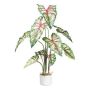 Deko Pflanze Caladium GRUHON, Melamin-Übertopf, grün-rot, 100cm