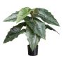 Künstliche Pflanze Colocasia ZORHEL, grün, 65cm