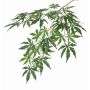 Unechter Japanischer Ahornzweig DIRK, schwer brennbar, grün, 70cm