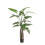 Künstliche Pflanze Alocasia Sanderiana ALBULA, grün, 150cm