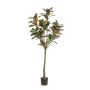 Yulan-Magnolienbaum künstlich BELLITA, Kunststamm, grün-olive, 150cm