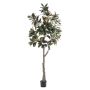 Yulan-Magnolienbaum künstlich BELLITA, Kunststamm, grün-olive, 240cm