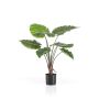 Künstliche Pflanze Alocasia Calidora FAYOR, grün, 70cm