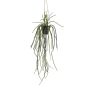 Künstliche Blumenampel Rhipsalis pilocarpa JEXIA, Dekotopf, grün, 85cm