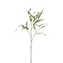 Künstlicher Eukalyptuszweig CALIK, grün, 75cm