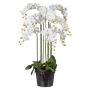 Kunst Phalaenopsis Orchidee LOPASY, Wurzeln, weiß, 110cm