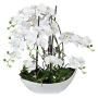 Kunst Orchidee Korkenzieherweide Gesteck TANIN, Keramikschale, Wurzeln, weiß, 70cm
