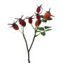 Deko Zweig Heckenrose BRULFI mit Hagebutten, orange, 25cm
