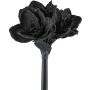Plastikblume Amaryllis LIKONE, schwarz, 65cm