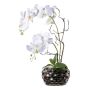 Kunstblumengesteck Orchidee Korkenzieherweide TICHIO, Dekovase, Wurzeln, weiß, 55cm