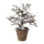 Künstlicher Baum Buche BONKA, laublos, beschneit, Dekotopf, weiß-braun, 24cm