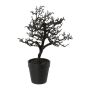 Künstlicher Baum Buche BONKA, laublos, Dekotopf, schwarz, 28cm