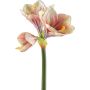 Dekoblume Amaryllis BELAV, rosa-creme-grün, 70cm, Ø5-13cm