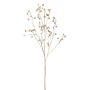 Dekozweig Kartoffelrose BLINTO mit Hagebutten, metallic-gold, 135cm