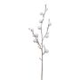 Dekozweig Baumwolle GRIFON mit Früchten, weiß, 90cm
