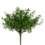 Deko Pflanze Mühlenbeckia ZORHAN, Steckstab, grün, 28cm