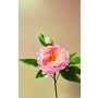 Pfingstrose künstlich FYRFAR, offen, rosa, 60cm