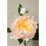 Pfingstrose künstlich FYRFAR, offen, creme-aprikose, 60cm