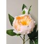 Pfingstrose künstlich FYRFAR, halboffen,creme-aprikose, 60cm