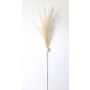 Kunststoffschaum Chinaschilf FERDIHUN mit Rispen, aprikose, 100cm
