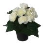 Künstliche Blume Begonie KELTO im Dekotopf, weiß, 25cm