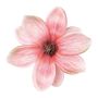 Künstliche Blüte Magnolie NURFFY, rosa, Ø16cm