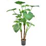 Kunstpflanze Alocasia calidora NOKJAN, grün, 120cm