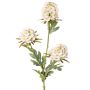 Künstlicher Zweig Bartnelke STERMYN, creme, 75cm, Ø6,5-8,5cm