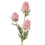 Künstlicher Zweig Bartnelke STERMYN, rosa, 75cm, Ø6,5-8,5cm