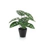 Kunstpflanze Philodendron monstera adansonii PRUMEX, Dekotopf, 28cm