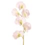 Blume künstlich Lathyrus WAHNY, weiß-grün, 35cm, Ø5cm