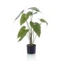 Kunstpflanze Alocasia Zebrina LEFKA mit Wurzeln, grün, 75cm