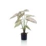 Kunst Pflanze Caladium YAWAR mit Wurzeln, grün-weiß, 60cm