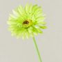 Künstliche Blume Gerbera TEUDELINDE, grün-creme, 55cm, Ø8cm
