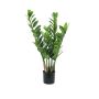 Künstlicher Zamioculcas Zamiifolia AKELA, 70cm
