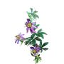 Deko Passionsblume JULANDA, lila-weiß, 95cm, Ø11cm