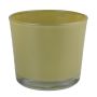 Pflanztopf aus Glas ALENA, olivgelb, 19cm, Ø19cm