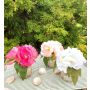 Künstlicher Blumenstrauß Pfingstrose VEIKO in Glasvase, pink, 15cm