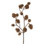 Dekozweig Tanne KREMLA mit Zapfen, braun, 50cm