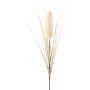 Künstliche Pampasgras Rispe WALNIN, beige, 100cm