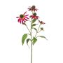 Dekozweig Sonnenhut MILROV, pink, 75cm