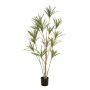 Kunstbaum Dracaena marginata SHALLU, Kunststämme, grün, 180cm